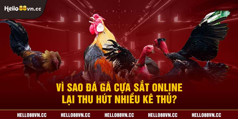 Vì sao đá gà cựa sắt online lại thu hút nhiều kê thủ?