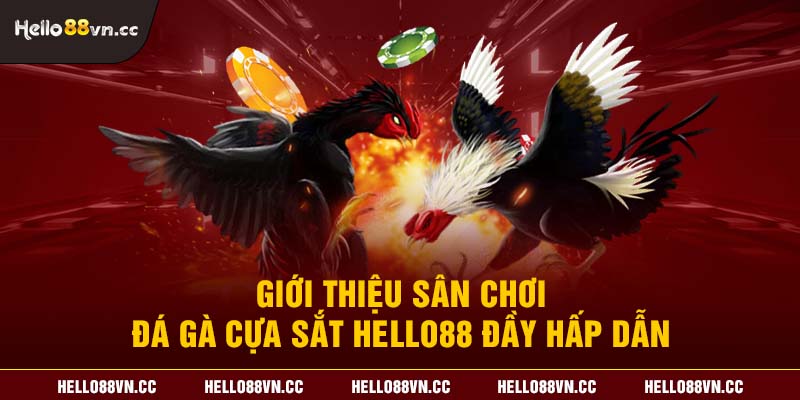 Giới thiệu sân chơi đá gà cựa sắt Hello88 đầy hấp dẫn