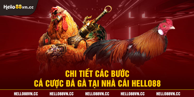 Chi tiết các bước cá cược đá gà tại nhà cái Hello88