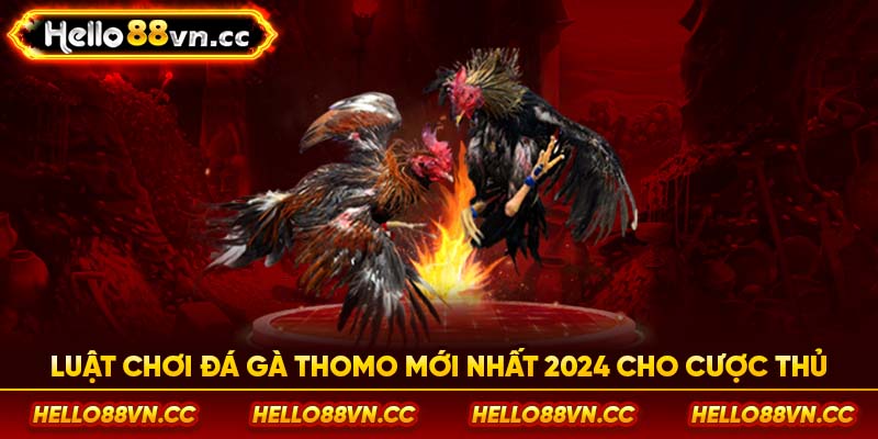 Luật chơi đá gà Thomo mới nhất 2024 cho cược thủ