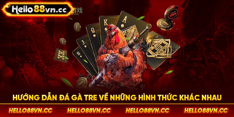 Hướng dẫn đá gà tre về những hình thức khác nhau