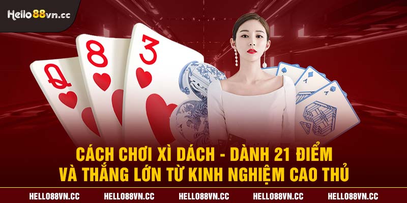 Cách chơi Xì dách - Dành 21 điểm và thắng lớn từ kinh nghiệm cao thủ